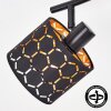 Alsen 4-way ceiling spotlight bar with adjustable honeycomb cut-out shades