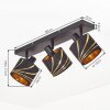 Alsen 3-light ceiling spotlight with striped shades for living room