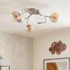 Chehalis globe ceiling light, 6-light G9 ceiling lamp, Ø 58 cm, retro style