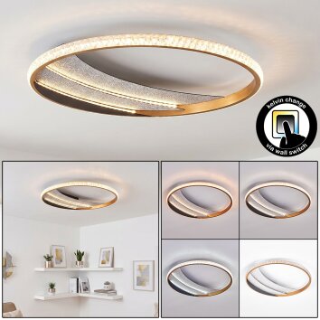 Calista LED ceiling light, round ring ceiling light Ø 41 cm, modern flat design