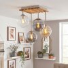 Gastor 4-light ceiling light with globe shades for dining room and living room