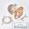 Wall Light Herford with Ecru Wooden Wall Mount and Adjustable Head for Reading Nook