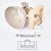 Adjustable Wall Light Orny with Wooden Backplate, Open E27 Socket for Couch