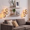 Modern Globe Wall Light Koyoto 2-Piece Set with Three Smoke Glass Shades for the Couch