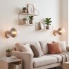 Modern Globe Wall Light Gastor with Smoke and Clear Glass Shade, Set of 2