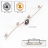 Modern Globe ceiling light Gastor with four smoke and amber glass shades on a curved bar