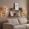 Globe Wall Light Koyoto 2-Piece Set with 3 Glass Shades in Smoke, Amber and Clear