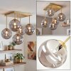 Cluster ceiling light Chehalis with five smoke-coloured glass shades, modern brass frame