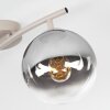 Modern Ceiling Light Gastor with Two Round Smoke and Clear Glass Shades
