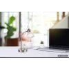 NOWA Daytona Desk Lamp / Table Lamp with Switch, E14, modern, for living room