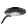 NOWA Carmen LED desk lamp for office, modern curved reading lamp with round lamp head