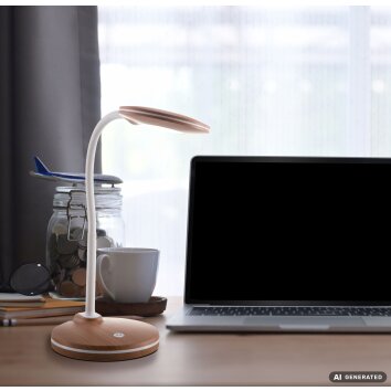 NOWA Carmen LED Desk Lamp 3000K 300lm 3.5W, Modern Reading Light for Home Office