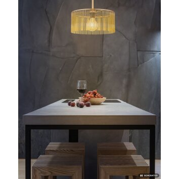 NOWA Leeds Round Ceiling Light E27 60 Watt for Dining Room, Kitchen, Hallway & Living Room
