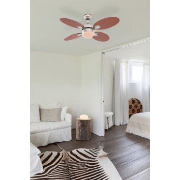 Globo WADE fan chrome, stainless steel, matt nickel, 1-light source