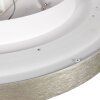 Steinhauer Flady modern LED Flush Mount Ceiling Light, 50 cm, 4600 lm, 2700K, 40W