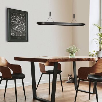 Steinhauer Mykty LED Pendant Light 2-light 40 W 10500 lm 2700 K, 120 cm