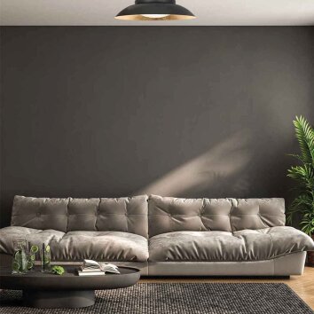 Steinhauer Brotke LED round flush mount ceiling light, 40 cm, modern