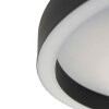 Steinhauer Ringlux LED ring ceiling light, modern flush mount ceiling light
