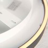 Steinhauer Ringlux LED ring ceiling light, modern flush mount ceiling light