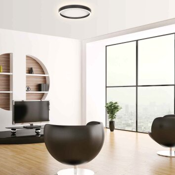 Steinhauer Ringlux LED ring ceiling light, modern flush mount ceiling light