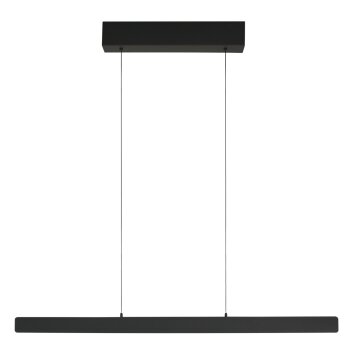 Steinhauer Fluxy 6-light linear LED pendant light 120 cm, height-adjustable dining light