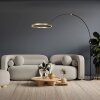 Steinhauer Ringlux LED Modern Arc Floor Lamp with Ring-Shaped Light, 2-Light, Adjustable