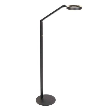 Steinhauer Ringlux modern LED 2-light floor lamp adjustable reading lamp 140 cm
