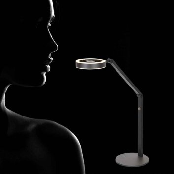 Steinhauer Ringlux LED Reading Floor Lamp for Sofa 2700 Kelvin 1000 Lumen 5 Watt