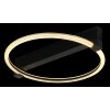 Globo Fletcher LED Ceiling Light, Oval Ring Ceiling Light for Hallway and Living Room