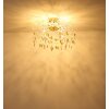 Globo Danna Modern Decorative Round Ceiling Light Chandelier 8-Light Ø 61 cm G9