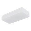 Globo Donte LED ceiling light, rectangular ceiling lamp for hallway, modern