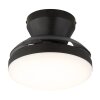 Globo Zavala LED Round Ceiling Light ø 38 cm with Remote Control, 15 W, 1950 lm