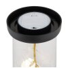 Globo Rosalina LED decorative light rose in glass dome, 20-light, 2900 K
