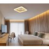 Globo Loraine LED modern square ceiling light 40 W 4300 lm 3000 K