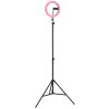 Globo Delgado LED selfie ring light with phone holder for content creation, 63 cm