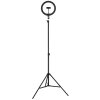 Globo Delgado LED selfie ring light with phone holder for content creation, 63 cm