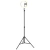 Globo Delgado LED selfie ring light with phone holder for content creation, 63 cm