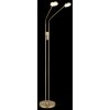 Globo Silvio LED floor lamp, twin-head couch reading lamp, 173 cm, 1400 lm, modern