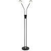 Globo Silvio LED floor lamp, 2-light reading lamp for living room, modern, 173 cm