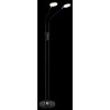 Globo Silvio LED floor lamp, 2-light reading lamp for living room, modern, 173 cm