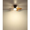 Globo Delores LED Remote-Controlled Ceiling Fan with Light 2700-6500K 560 lm 5W