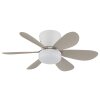 Globo Delores LED ceiling fan with light, 51 cm, 560 lm, 2700-6500 Kelvin, 5 W