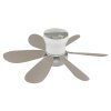 Globo Delores LED ceiling fan with light, 51 cm, 560 lm, 2700-6500 Kelvin, 5 W