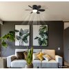 Globo Delores LED ceiling fan with light, modern for living and dining areas
