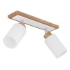Globo Rowena modern 2-light ceiling light, ceiling spotlight with E27 socket