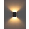 Globo Ferguson Modern Up Down Outdoor Wall Light for Entrance 2-Light G9 8W