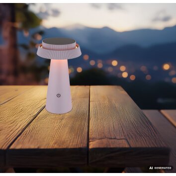Globo MIRALIE LED Modern Outdoor Solar Path Light Mushroom Design