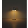 Globo VANNIESO LED solar garden light, outdoor solar light, modern 10-light