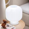 SCHÖNER WOHNEN-Kollektion NAMI modern ribbed globe table lamp with cord switch