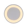 SCHÖNER WOHNEN-Kollektion MONTA LED modern semi-circle flush-mount ceiling light
